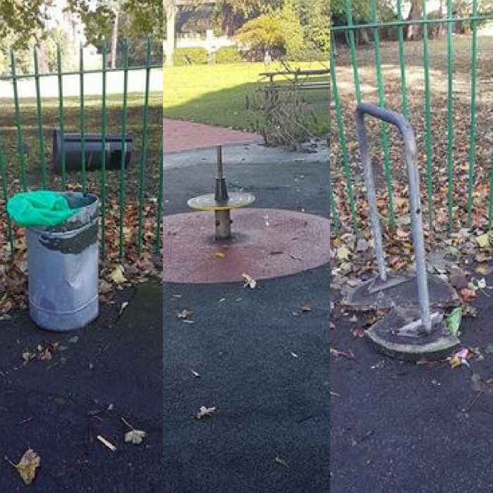 Some of the recent damage in Ashton Park