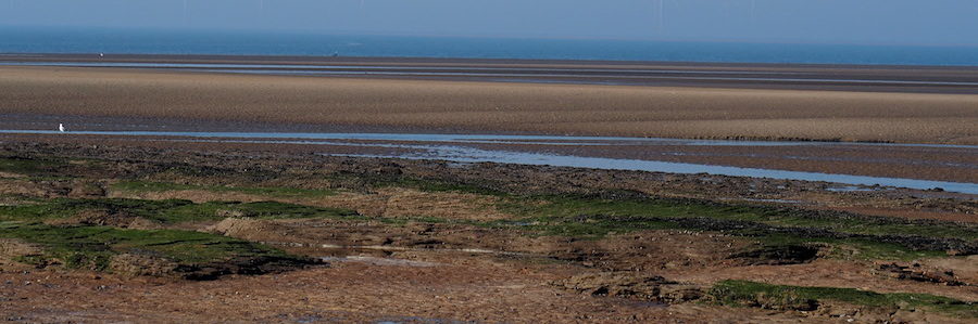 View from Hilbre Island