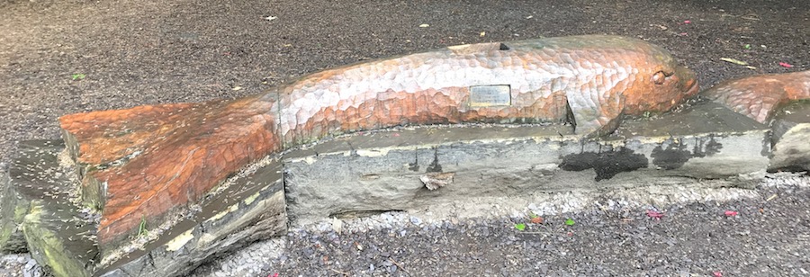 Damaged dolphin bench in Ashton Park