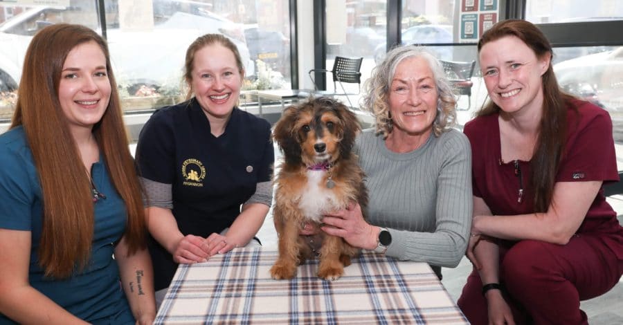 Life-saving surgery for puppy who couldn’t poo