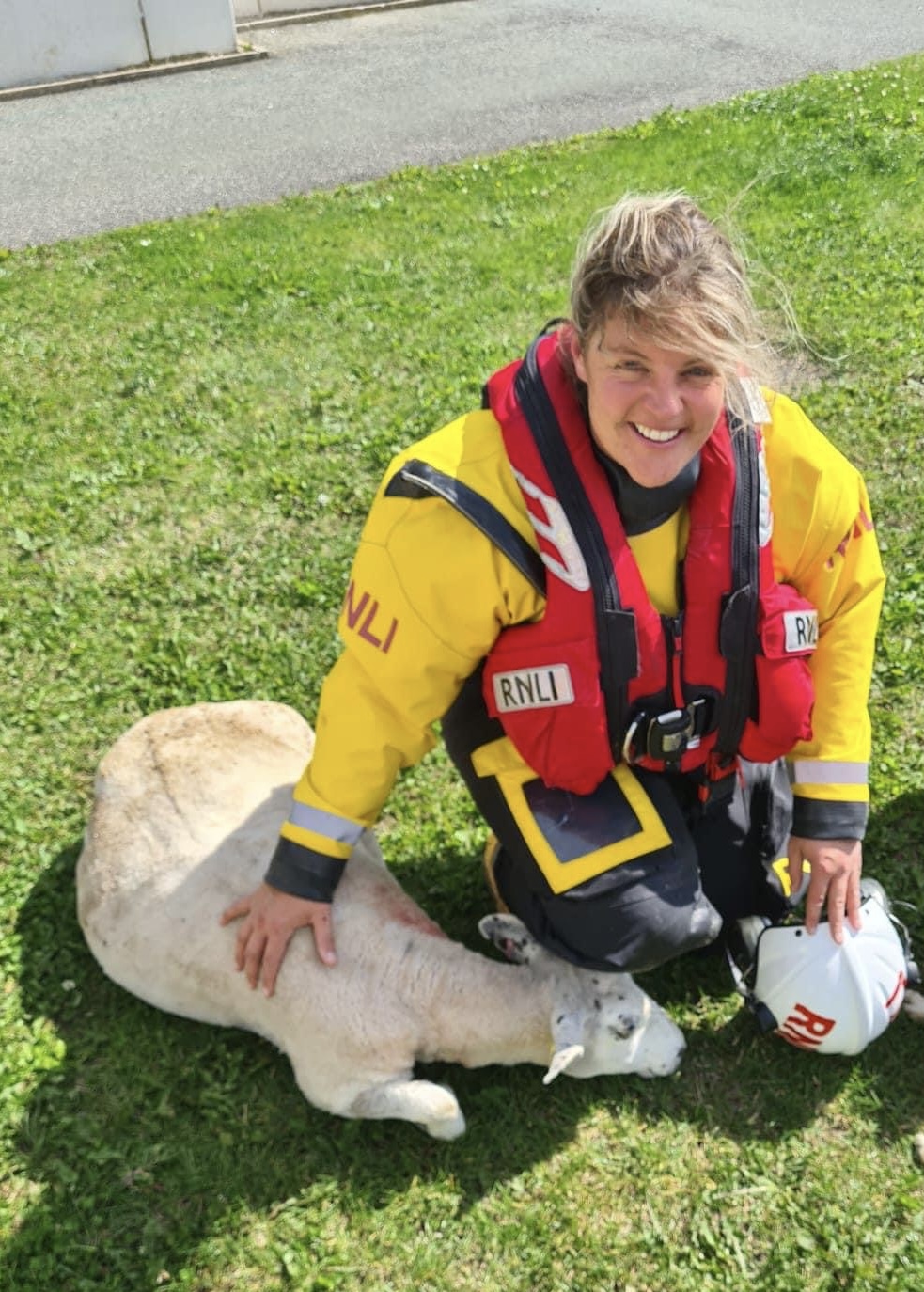 Sheep rescued from sandbank by RNLI