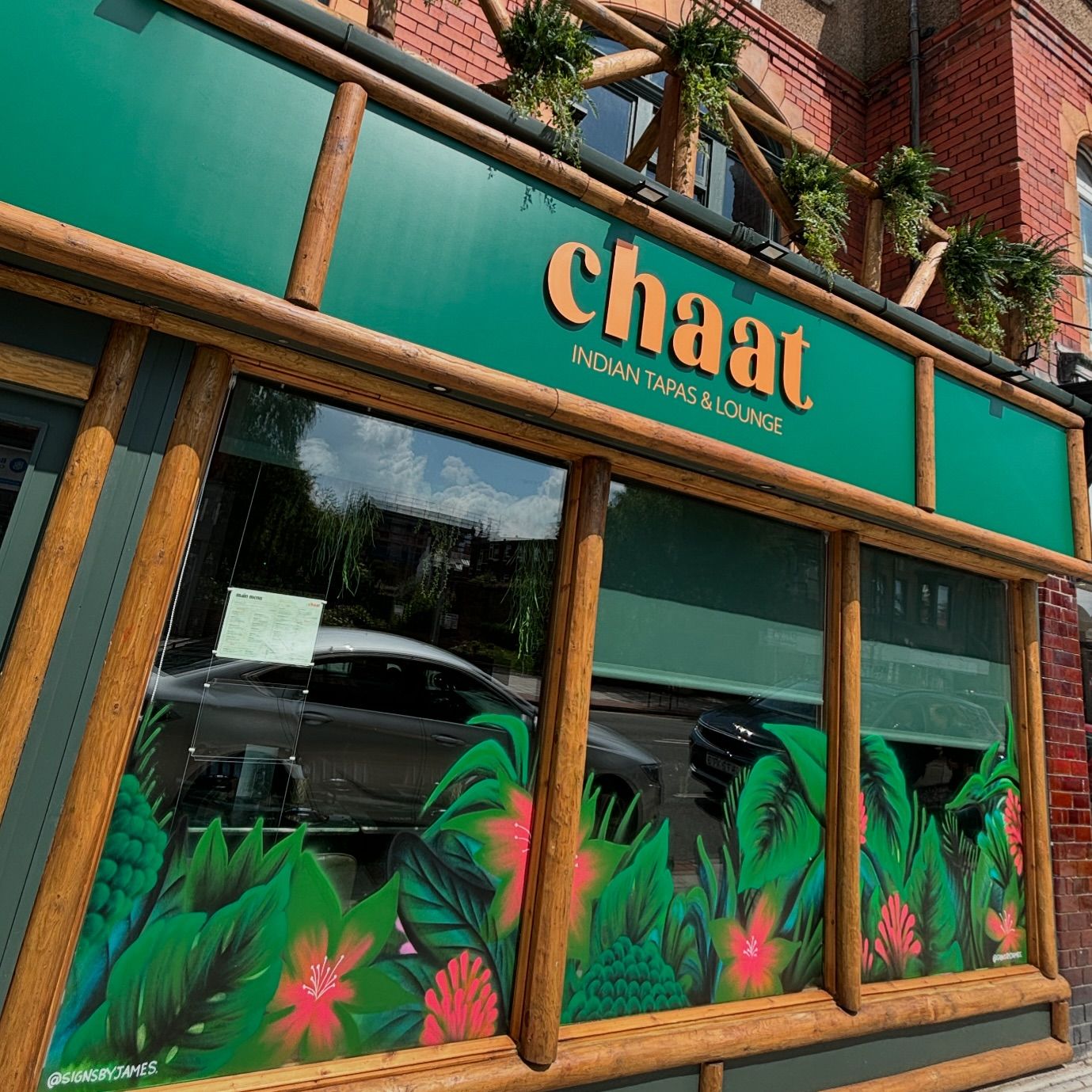 chaat8